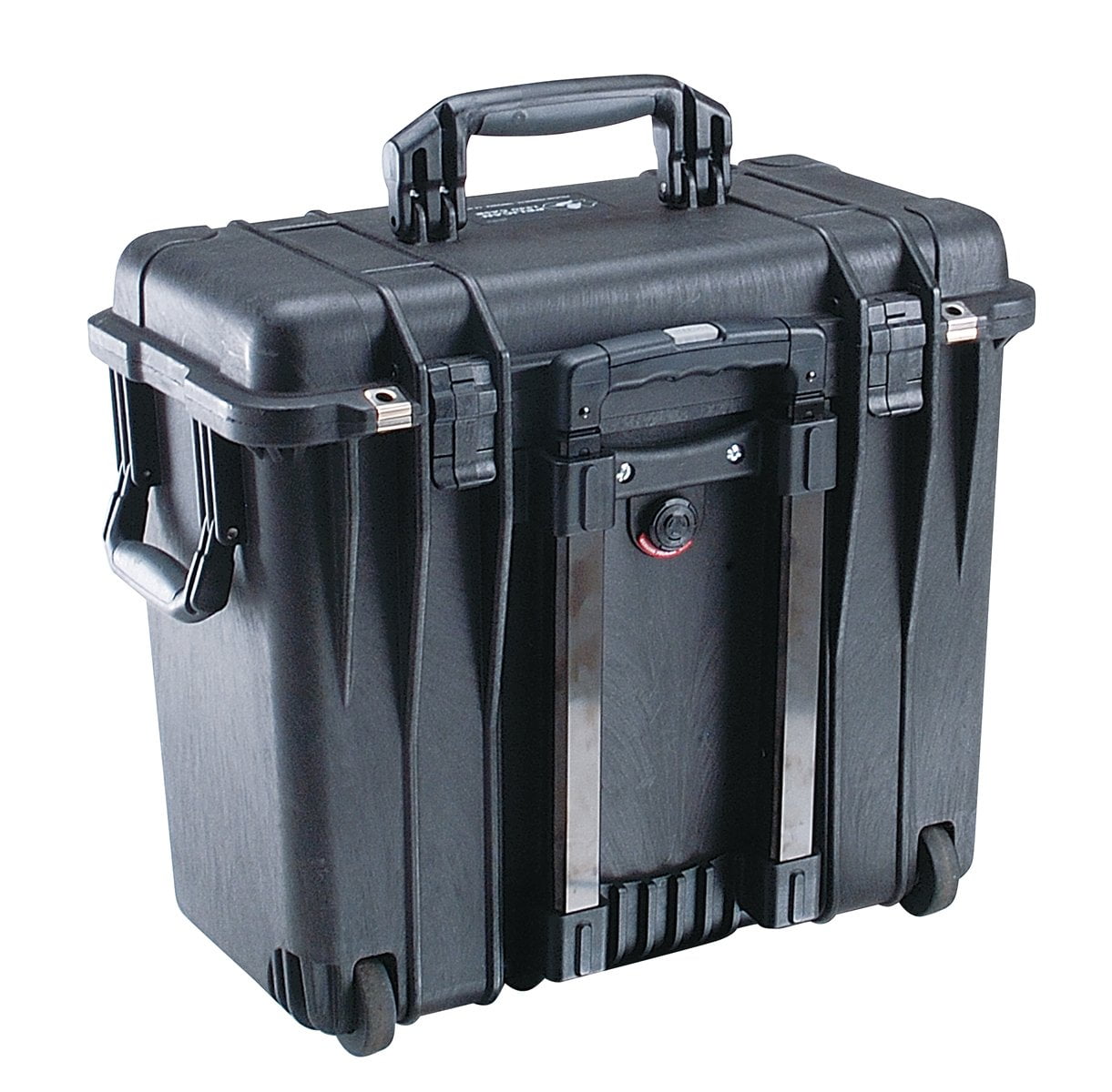 case_1440_3.jpg